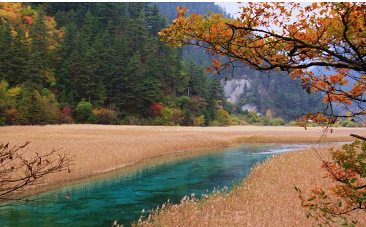 百花山隧道在哪里（探寻百花山隧道的神秘之处）